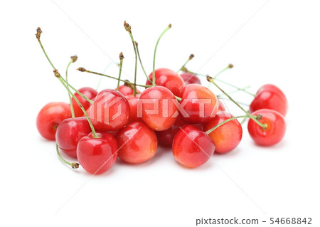 Cherry Sato Nishiki Cherry Sato Nishiki 54668842