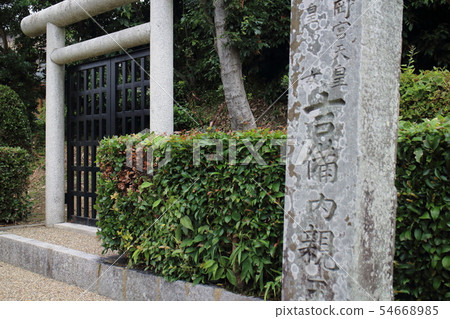 Kibi Uchio Wang Goto 54668985