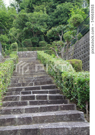 Kibi Uchio Wang Goto Kibi Uchio Wang Goto 54668988
