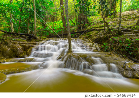 Waterfall in Tropical Rain forest 54669414