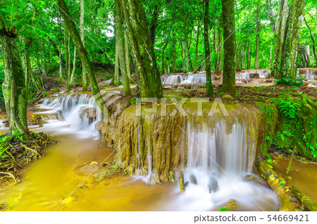 Waterfall in Tropical Rain forest Waterfall in Tropical Rain forest 54669421