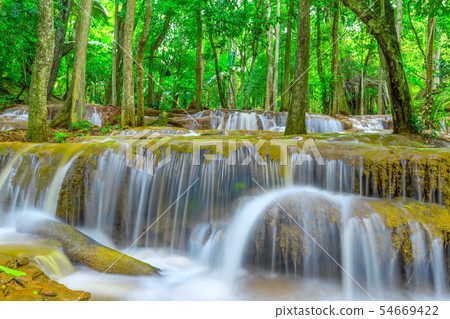 Waterfall in Tropical Rain forest Waterfall in Tropical Rain forest 54669422