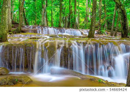 Waterfall in Tropical Rain forest 54669424