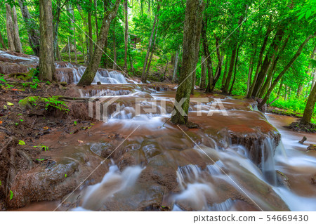 Waterfall in Tropical Rain forest Waterfall in Tropical Rain forest 54669430
