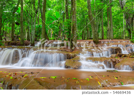 Waterfall in Tropical Rain forest Waterfall in Tropical Rain forest 54669436