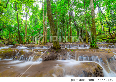 Waterfall in Tropical Rain forest Waterfall in Tropical Rain forest 54669439