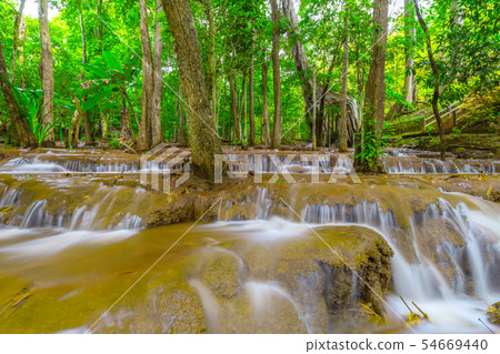 Waterfall in Tropical Rain forest Waterfall in Tropical Rain forest 54669440