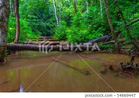 Waterfall in Tropical Rain forest 54669447