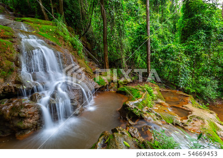 Waterfall in Tropical Rain forest 54669453