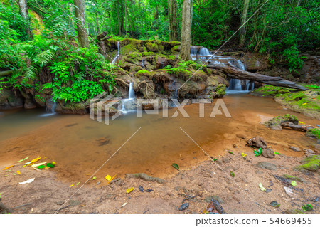Waterfall in Tropical Rain forest Waterfall in Tropical Rain forest 54669455