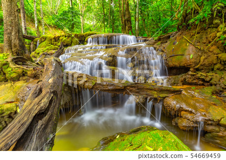 Waterfall in Tropical Rain forest Waterfall in Tropical Rain forest 54669459