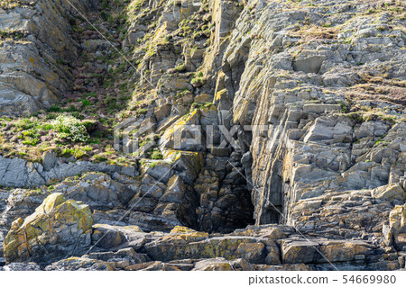 Rock mountains textures with a flowers Rock mountains textures with a flowers 54669980