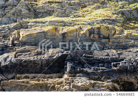 Rock mountains textures with a flowers 54669985