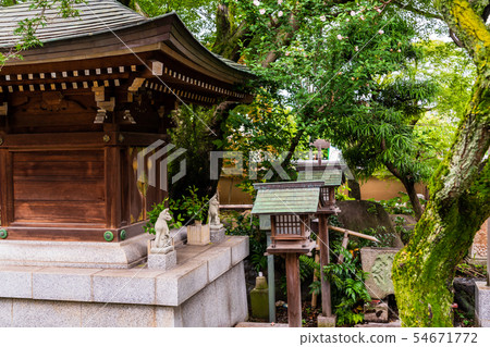 日本文化新鮮的綠色地面寺廟圖像 54671772