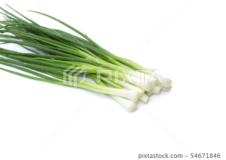 green onions or scallions placed on white 54671846