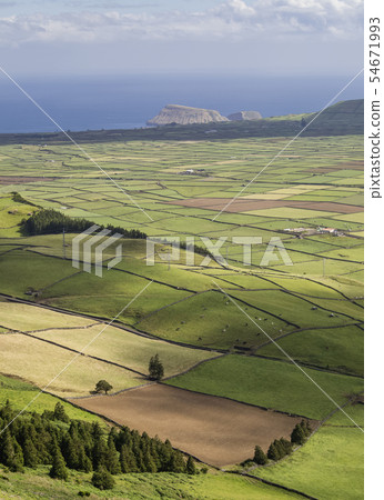 Landscape of Terceira Island Landscape of Terceira Island 54671993