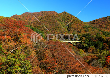 秋葉宮城縣仙台市Akiho Fuchiguchi谷 54673792