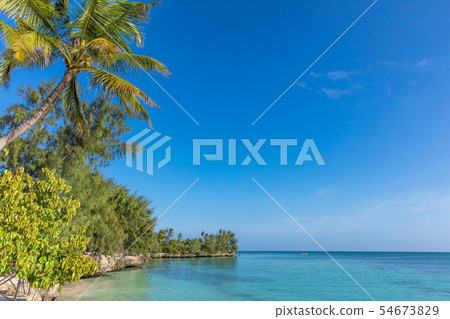 coastline beach Kizimkazi Unguja Zanzibar Island Tanzania East Africa 54673829