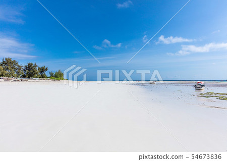 Muyuni white sand beach Unguja Zanzibar Island Tanzania East Africa 54673836