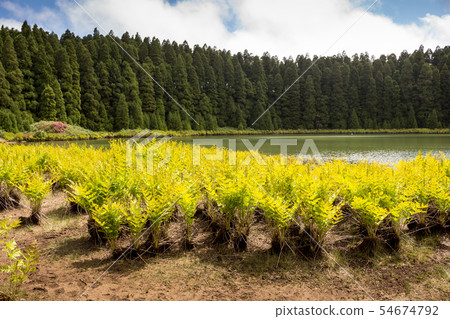 Lagoa do Canario, Sao Miguel, Azores 54674792