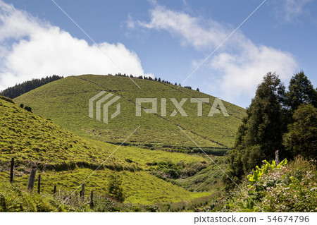 Country at Sao Miguel, Azores Islands 54674796