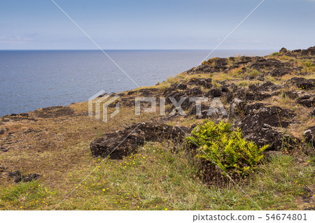 Shore in the north of Sao Miguel, Azores Shore in the north of Sao Miguel, Azores 54674801