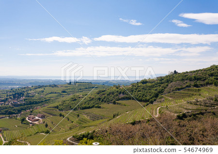 Valpolicella hills landscape, Italian viticulture Valpolicella hills landscape, Italian viticulture 54674969