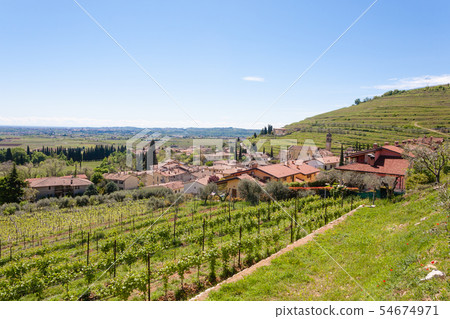 Valpolicella hills landscape, Italian viticulture Valpolicella hills landscape, Italian viticulture 54674971