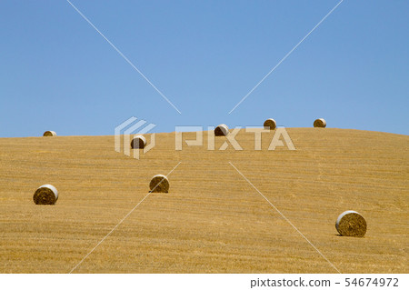 Italian countryside panorama. Round bales on wheat Italian countryside panorama. Round bales on wheat 54674972