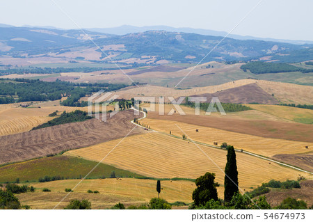 Tuscany hills panorama summer view, Italian Tuscany hills panorama summer view, Italian 54674973