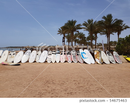 surfboards stand in rows surfboards stand in rows 54675463