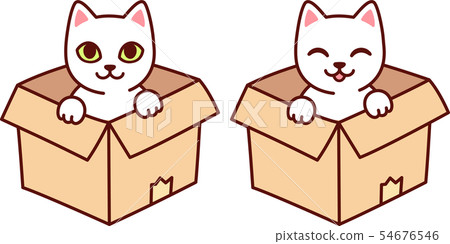 Cat in cardboard box 54676546