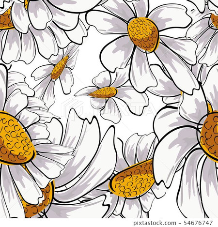 Hand-drawn chamomiles seamless pattern in sketch  54676747