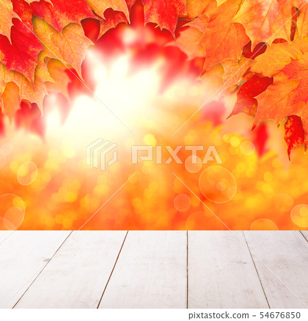 Colorful autumn background. Fall leaves  54676850
