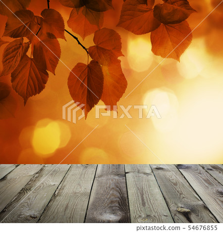 Autumn Background with Red Linden Leaves 54676855