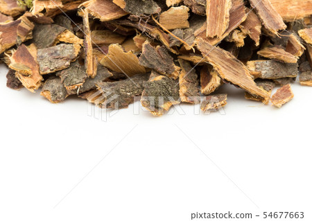 馬鯖魚皮，沙棘樹皮：沙棘樹皮 54677663