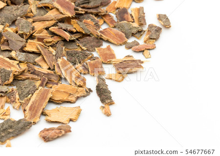 馬鯖魚皮，沙棘樹皮：沙棘樹皮 54677667