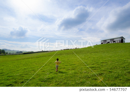 Hokkaido Shibetsu city sheep hill Hokkaido Shibetsu city sheep hill 54677707