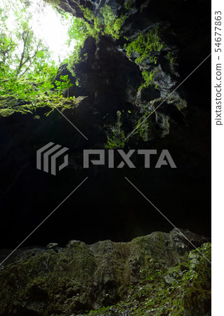 Cave opening at Gunun Mulu national park Cave opening at Gunun Mulu national park 54677863