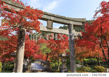 Autumn leaves of Kyoto, autumn, Eikan-do 54678596
