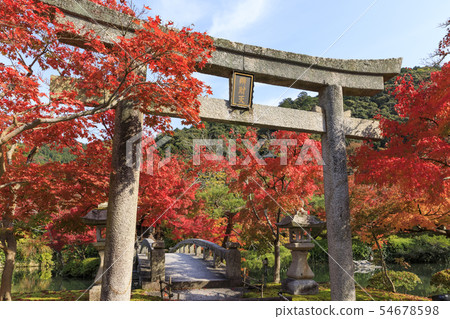 京都秋葉,秋天,Eikan-do 京都秋葉,秋天,Eikan-do 54678598