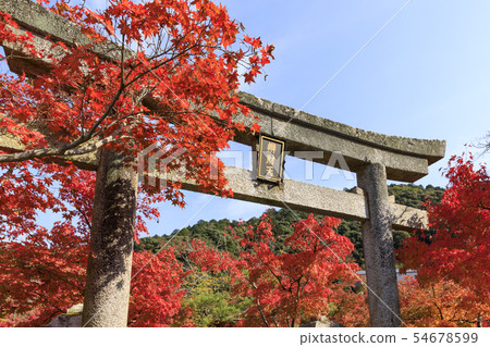 京都秋葉，秋天，Eikan-do 54678599