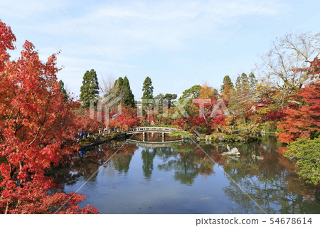 Autumn leaves of Kyoto, autumn, Eikan-do 54678614