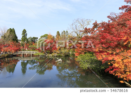 Autumn leaves of Kyoto, autumn, Eikan-do 54678616