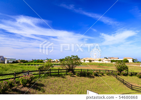 Soleil hill (summer) 54680868