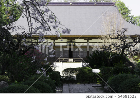 [Shizuoka Prefecture] 54681522