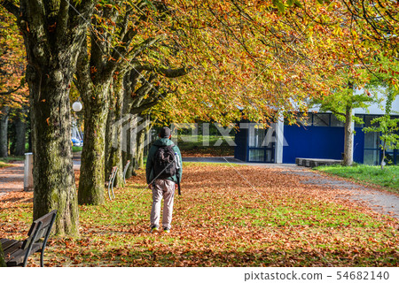 People on autumn road with many trees People on autumn road with many trees 54682140