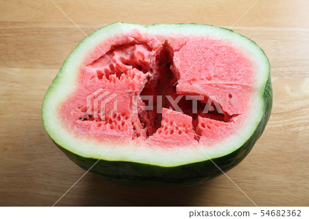 西瓜第一次收穫 西瓜第一次收穫 54682362