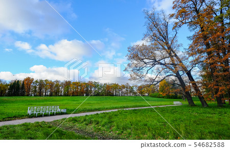 Autumn park in St Petersburg, Russia Autumn park in St Petersburg, Russia 54682588