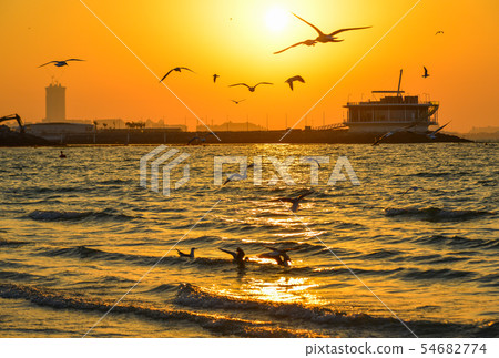 Group of seagulls in flight over the beach Group of seagulls in flight over the beach 54682774